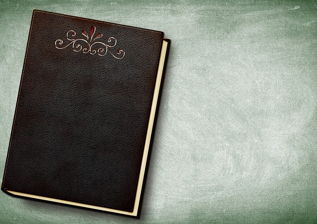 RETOUR SUR LA CONFERENCE : LA LITTERATURE FRANCOPHONE